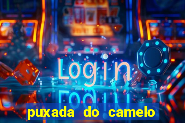 puxada do camelo jogo do bicho